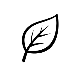 Epi-Novum